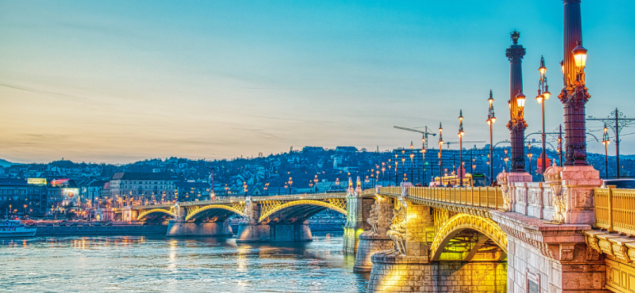 Wise dream, Guiding Your Success Journey